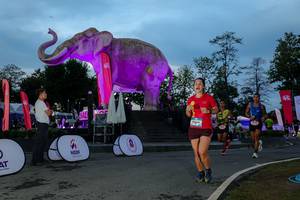 BIB: 
                            <button type="button" onclick="openModal(26529707)" class="btn btn-primary btn-sm float-right btn-popup" data-toggle="modal" data-target=".modal-high-quality">
                        <i class="fas fa-shopping-cart"></i> Add to Cart
                    </button>
                                            <button type="button" onclick="isThisMe(26529707, true)" class="btn btn-success btn-sm float-right btn-popup btn-isme hidden" data-toggle="tooltip" data-placement="bottom" title="นี่คือรูปของคุณใช่ไหม คลิกที่นี่เพื่อเอาเข้าอัลบั้ม">
                        <i class="fas fa-plus"></i> Add to album
                    </button>
                    <button type="button" onclick="isThisMe(26529707, false)" class="btn btn-warning btn-sm float-right btn-popup btn-isnotme hidden">
                        <i class="fas fa-ban"></i> Remove from album
                    </button>